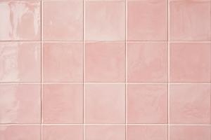 Blush Pink