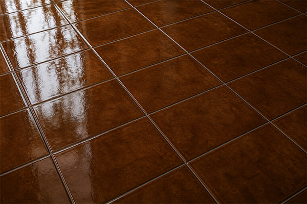 Brown Gloss