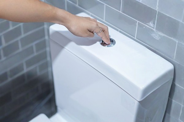 Dual Flush Cistern