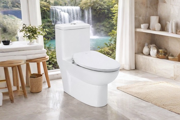 One Piece WC