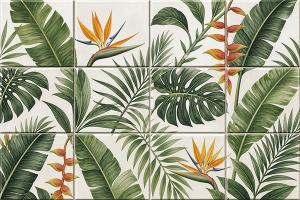 Tropical