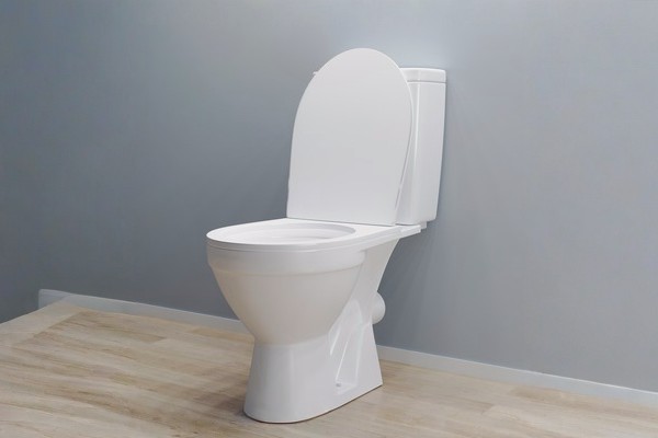Two Piece WC