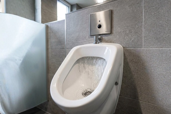 Urinal Flush