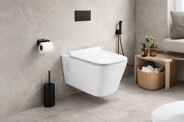 Wall Hung WC
